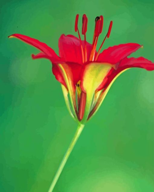 Wood Lily Diamond Painting