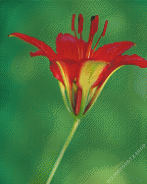 Wood Lily Diamond Painting