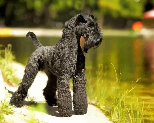 Black Kerry Blue Terrier Diamond Painting