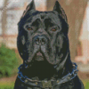 Black Presa Canario Diamond Painting