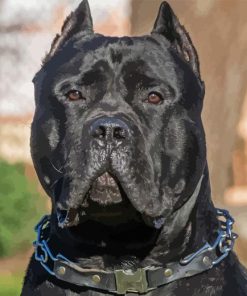 Black Presa Canario Diamond Painting