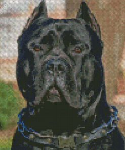 Black Presa Canario Diamond Painting