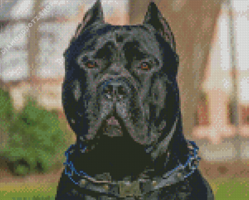 Black Presa Canario Diamond Painting