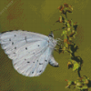 Close Up Holly Blue Diamond Painting