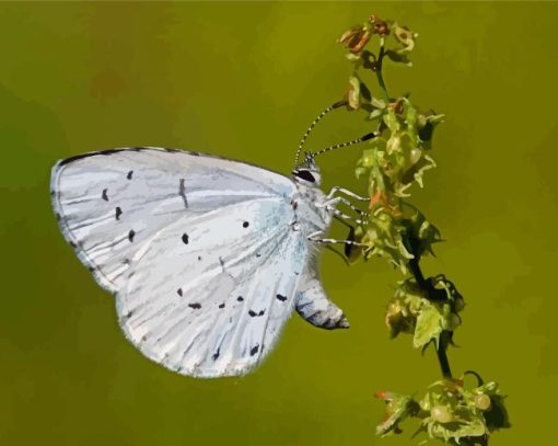 Close Up Holly Blue Diamond Painting