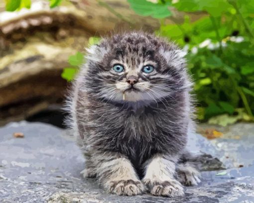 Pallas Cat Diamond Painting