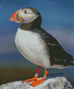 Cute Puffin On Rock Diamond Painting