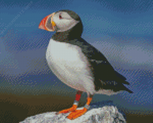 Cute Puffin On Rock Diamond Painting