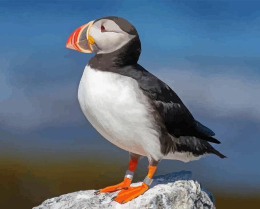 Cute Puffin On Rock Diamond Painting