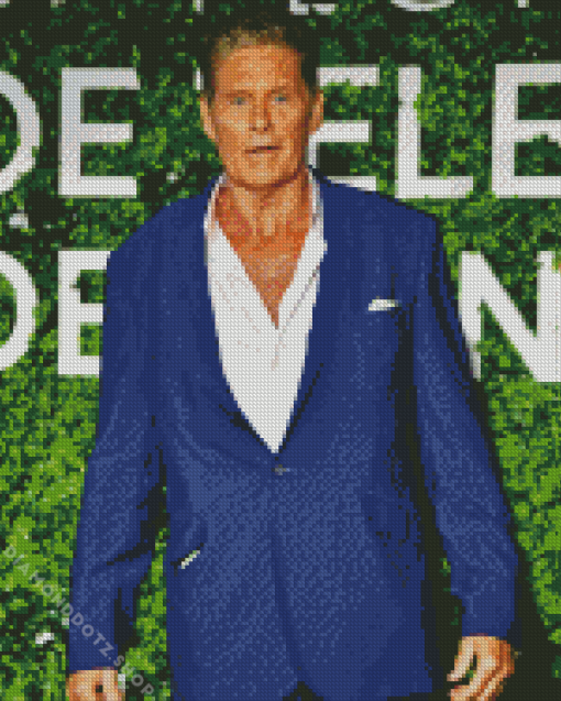 David Hasselhoff Diamond Painting