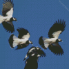 Flying Magpie Lark Birds Diamond Painting