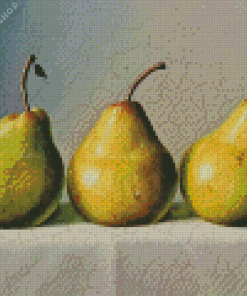 Fruit Pears Still Life Diamond Painting