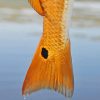 Golden Redfish Tail Diamond Painting