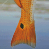 Golden Redfish Tail Diamond Painting