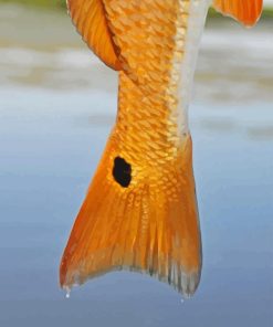 Golden Redfish Tail Diamond Painting