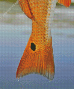 Golden Redfish Tail Diamond Painting