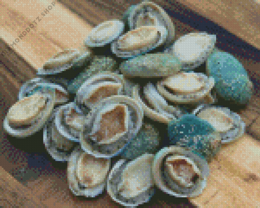 Haliotis Abalone Diamond Painting