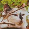 Himalayan Cat On Tree Diamond Painting