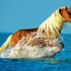 Horse Running In Beach Water Diamond Painting