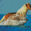 Horse Running In Beach Water Diamond Painting