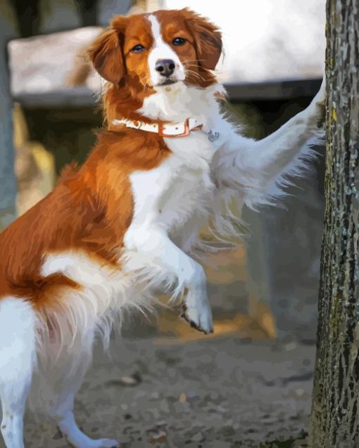 Kooikerhondje Diamond Painting