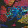 Mandarin Fish Diamond Painting