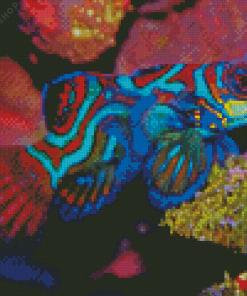 Mandarin Fish Diamond Painting