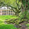 Oak Alley Plantation Diamond Painting