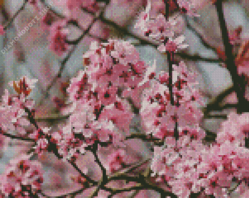 Pink Almond Flower Diamond Painting