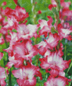 Pink Gladiolus Diamond Painting