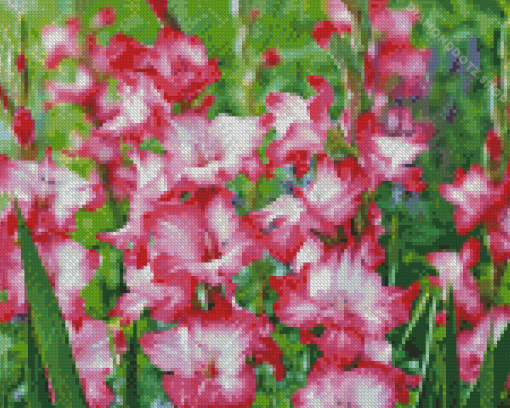 Pink Gladiolus Diamond Painting