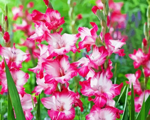 Pink Gladiolus Diamond Painting