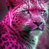 Pink Jaguar Animal Diamond Painting