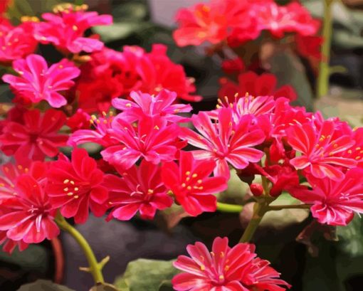 Red Lewisia Flowers Diamond Painting