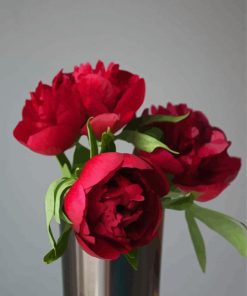 Red Peonies In A Vase Diamond Painting