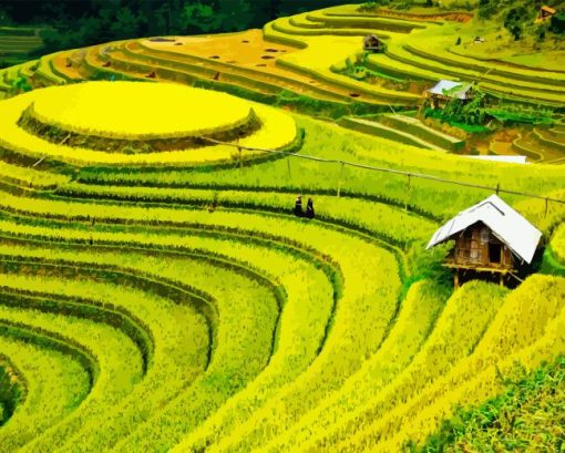 Rice Field Landscape Diamond Painting