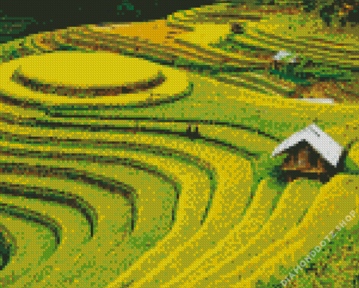 Rice Field Landscape Diamond Painting