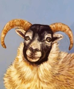 Scottish Black Faced Sheep Diamond Painting