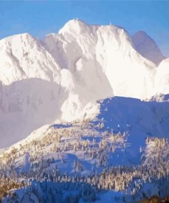 Snowy Mt Arrowsmith Diamond Painting