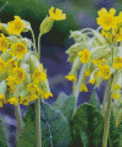 Spring Cowslips Flowers Diamond Painting