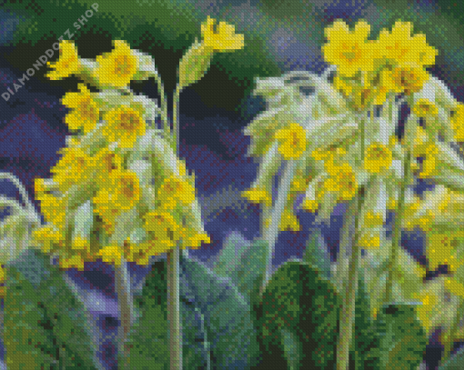 Spring Cowslips Flowers Diamond Painting