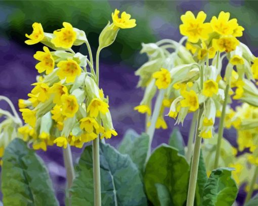 Spring Cowslips Flowers Diamond Painting