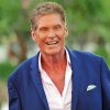 The Actor David Hasselhoff Diamond Painting