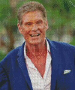 The Actor David Hasselhoff Diamond Painting