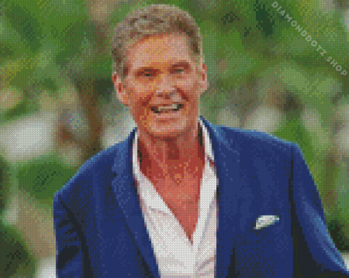 The Actor David Hasselhoff Diamond Painting