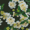 White Lantana Diamond Painting