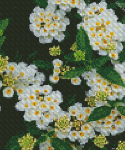 White Lantana Diamond Painting