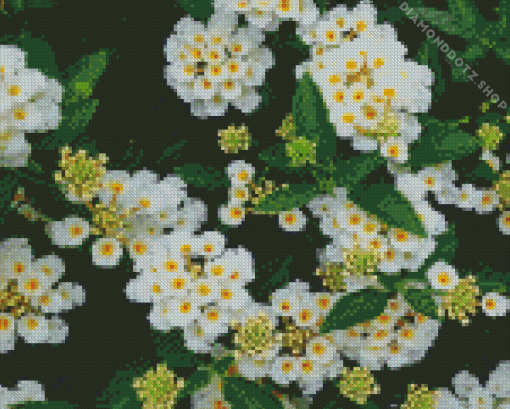 White Lantana Diamond Painting