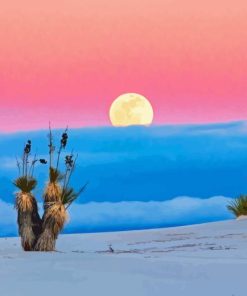 White Sands National Park Diamond Painting