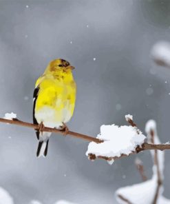 Yellow Bird And Snow Diamond Painting